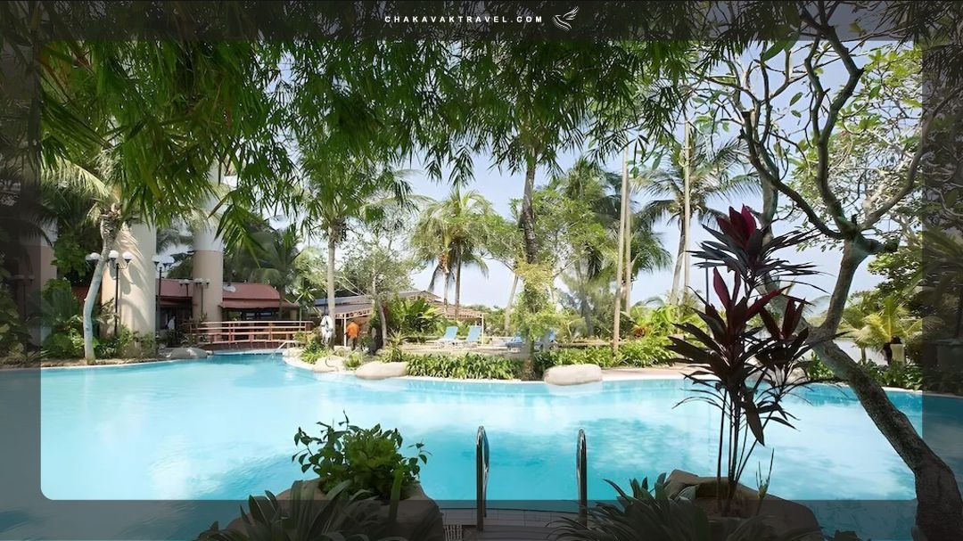 RAINBOW PARADISE